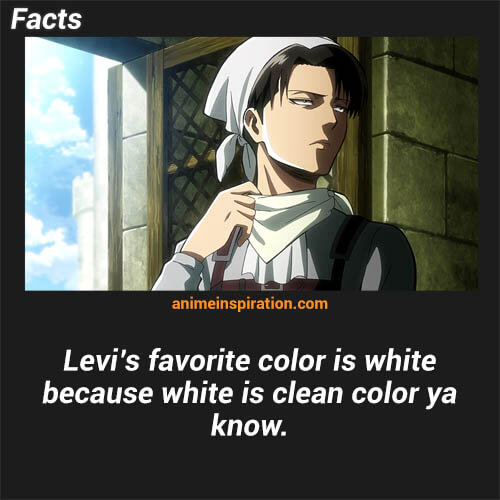 20+ Levi Ackerman Facts You Definitely Want To Know