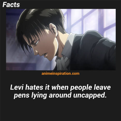 20+ Levi Ackerman Facts You Definitely Want To Know